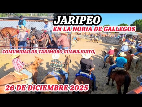 Tarimoro Guanajuato, La Noria, Jaripeo Primera Parte, 26 De Diciembre 2025