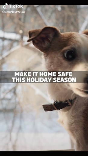 Smart Serve Ontario on TikTok