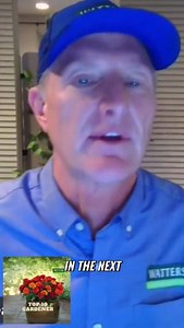 Winter Irrigation Prep Protecting Your Valves and Pipes Winterize your irrigation system to prevent costly damage! ❄️🚰 Learn how to protect your valves and pipes from freezing temperatures in this quick tip. Don't let a frozen pipe burst and flood your home. Follow these simple steps to safeguard your irrigation system and ensure it's ready for spring. #WattersGardenCenter, #WattersGardenCenterAZ, #Top10Gardener, #GardeningTips, #MountainGardenerPodcast, #kedj, #KenLain, #winterprep #irrigation