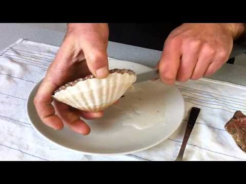 Comment décortiquer une coquille Saint Jacques???