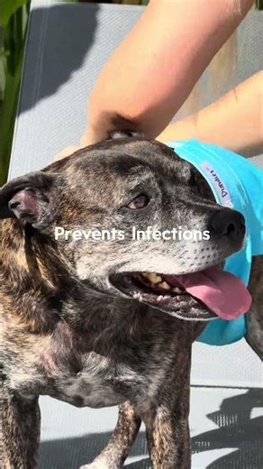 Nappy's aren't lazy!