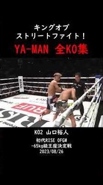 YA-MAN 圧倒的KO集#ko #格闘技 #rizin
