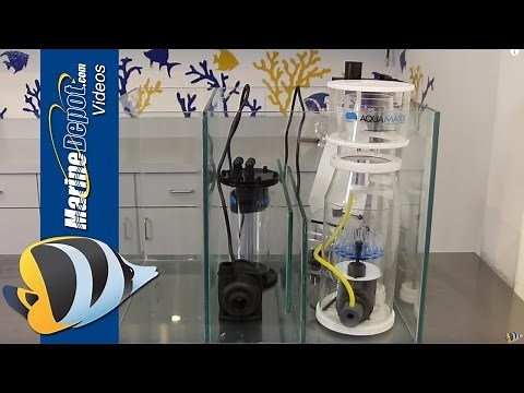 How to Build a Custom Sump for Your Reef Aquarium
