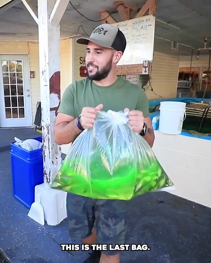 Stocking the pond #shiners #pondlife | Jiggin' With Jordan