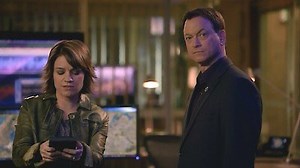Watch CSI: NY Season 8 Episode 16 - SlÃ¡inte