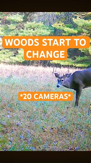 Today In The Timber Classic — October 12th, 2025