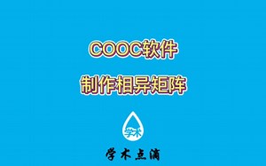 COOC软件制作相异矩阵