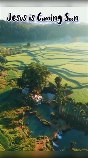 சொன்னதை செய்யும் வரை ...#trend #viruls #shortsfeed #bibleverse #டிஸ்னி