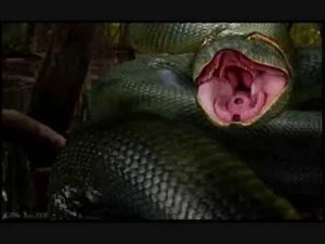 Top 10 Snake Movies - YouTube