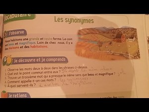 CE2 : Vocabulaire : Les synonymes page 95. Le trésor des mots