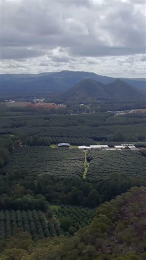 This Sunshine Coast Mountain View Is Unreal 😱 Mt Ngungun