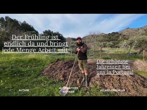 Spring awakening in Portugal // Sun, energy and countless projects