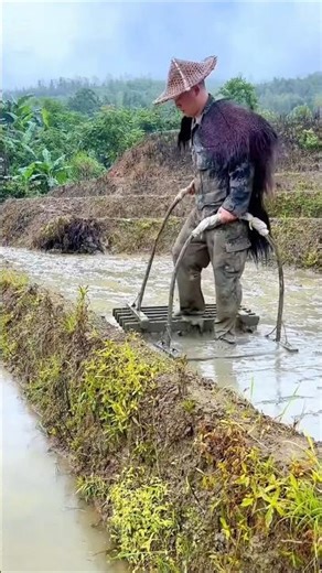 👉 How Rice Grows on Steep Hills 😳