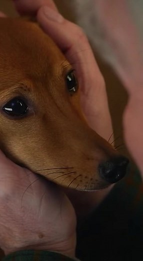 687K views · 27K reactions | “You’re staying with me… for as long as...