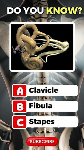 Smallest Bone in the Human Body? | Discover the Power of the Stapes Bone!" #science