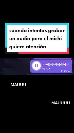 Mi audio con Lili: ¡El gato intruso!