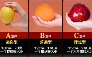 女生罩杯直观对比