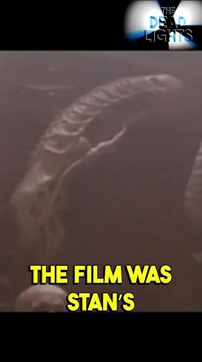 Why There’s an Alien Skull in Predator 2 #Predator2 #AlienVsPredator #MovieEasterEggs #SciFiHorror