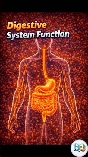 Functions of the Digestive System | Human Body Facts Explained #shorts #healthfactsgyaan