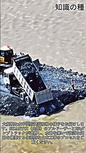 水中堤防の建設現場 #Bulldozer #DumpTruck #Construction #CivilEngineering #Earthmoving