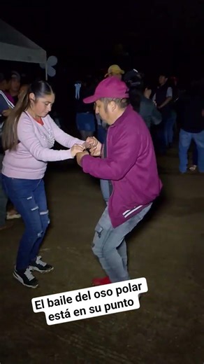 El baile del oso polar está en su punto