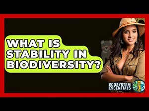 What Is Stability In Biodiversity? - Ecosystem Essentials