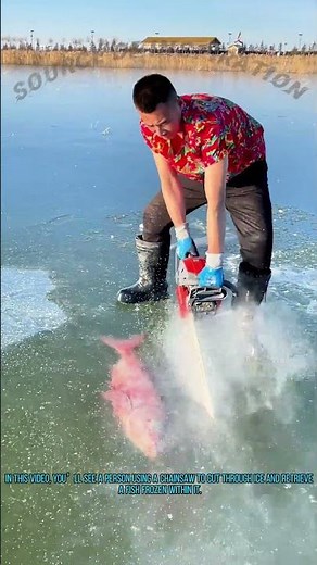 Chainsaw Ice Fishing: Retrieving Frozen Fish from Ice