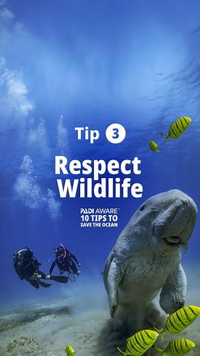 1.8K views · 17 reactions | Ready to save the ocean? This AWARE Week...