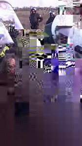 393K views · 4.3K reactions | In Japan, some beaches glow during summer nights. Here are 3 magical natural phenomena to observe in the Land of the Rising Sun.  | Brut nature | Facebook