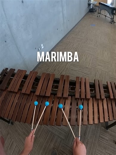 Famous Music from a lot of Percussion Instruments! #shorts - YouTube