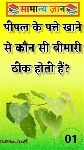 पीपल के पत्ते खाने से कौन सी बीमारी ठीक होतीहैं#gk#facts#gkfacts#gkquestion#staticgk#motivation#quiz