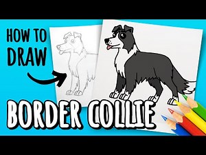 How to draw cartoon and cute DOG BORDER COLLIE easy step by step pencil sketch and colored