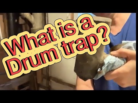 P-trap vs drum trap
