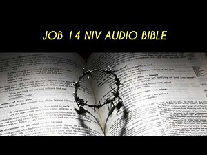JOB 14 NIV AUDIO BIBLE