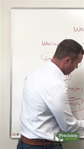 Reducing Weaning Stress in Calves | Tommy Heffernan on Precision Microbes