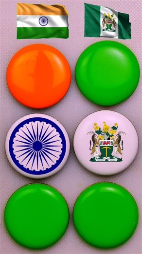 🇮🇳 India Flag & Rhodesia Flag Coin Art 🪙🎨 | Creative Flag Coin Art #Shorts