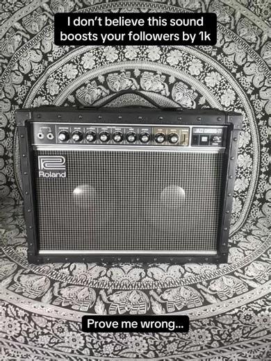 DBW Repairs on TikTok