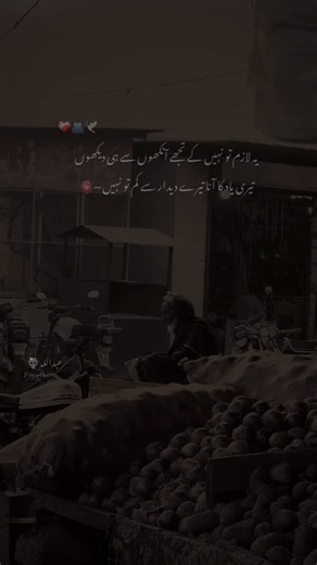 AMW~🫀 on Instagram: "Zindagi ❤️‍🩹 #hehe_amw #aesthetic #explore #trending #jan #fyp"