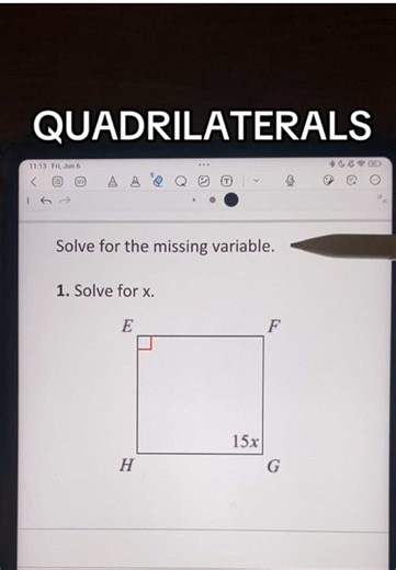 Mathematics Problem-Solving with Expert Tutor