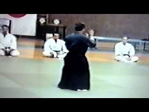 Karate Do Sankukai Demonstration
