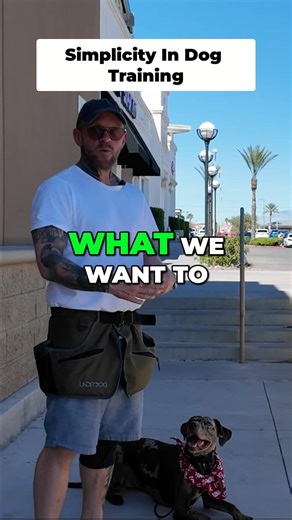 Dogs don't need complicated rules #dogtraining #shorts