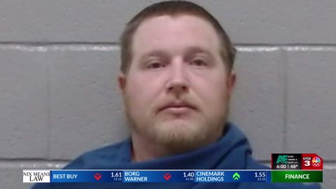 Kelly Andrews pleads guilty