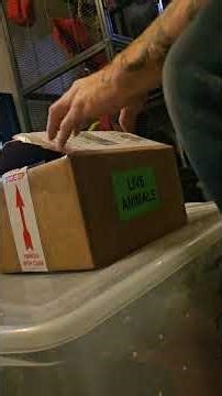 Unboxing a dream #exotic #snake #unboxing #python #blood