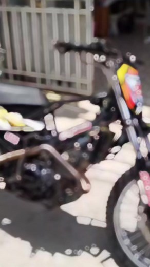 Bird sticker on Reels | Facebook