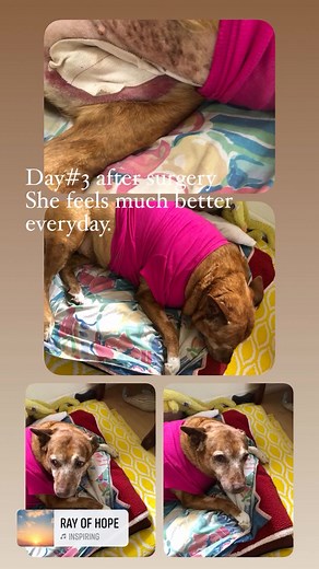 Getting stronger | Cruz Elmo