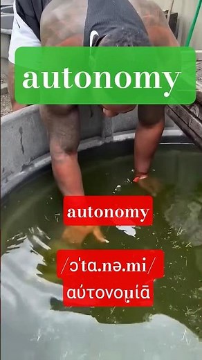 autonomy | meaning | definitions | intelligence42