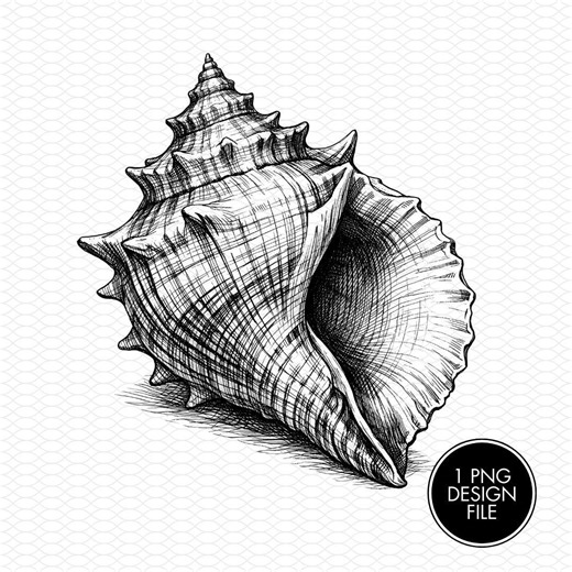 Seashell Engraving PNG File, Laser Engraving Files, Laser Burning, Laser Ready, Laser Cut File, Laser Burn PNG, LightBurn, Glowforge