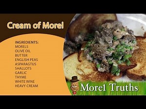 Morel Recipes: Cream of Morel Mushroom (the best way to cook your morels)