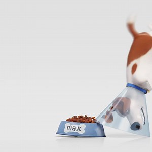Vos animaux favoris sont de retour ! Alors prenez de quoi grignoter et regardez #CommedesBêtes2 🐾🐶🐱🐰🐾 | Comme Des Bêtes