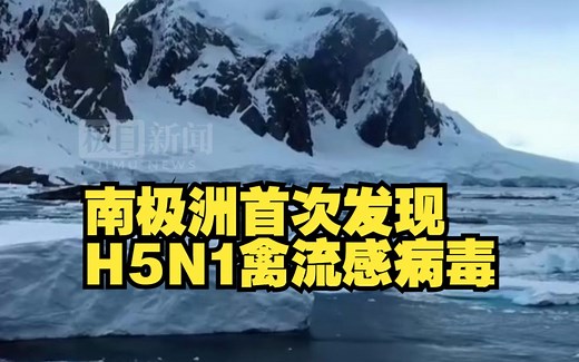 南极洲首次发现H5N1禽流感病毒，该病毒已导致全球数百万只野生鸟类死亡